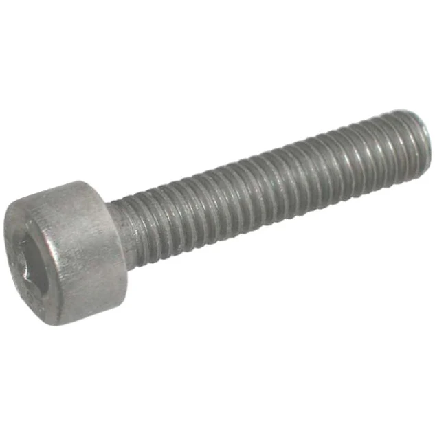 Allen bolt stainless steel M5x15