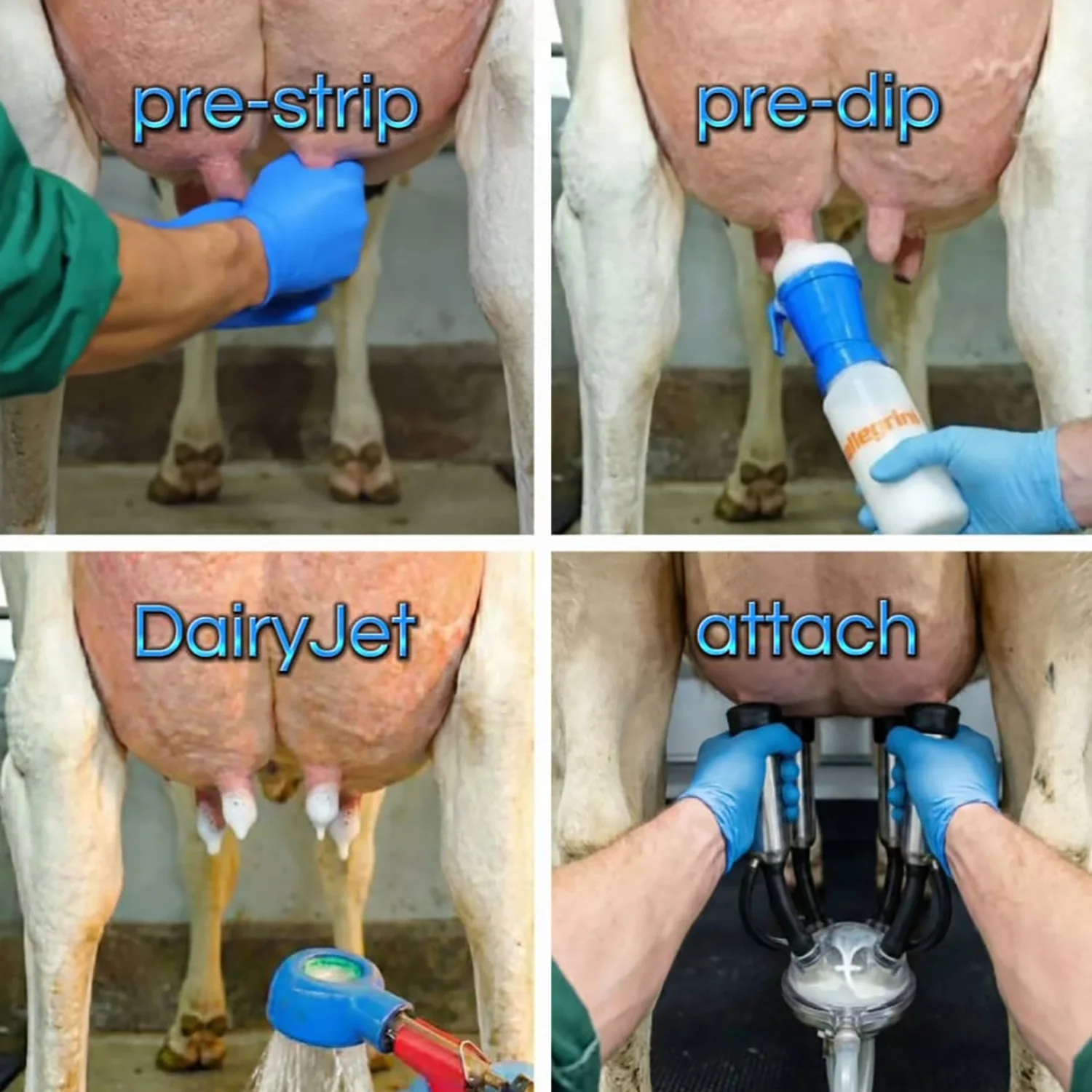 DairyJet - Udder shower/Teat cleaner - Image 5