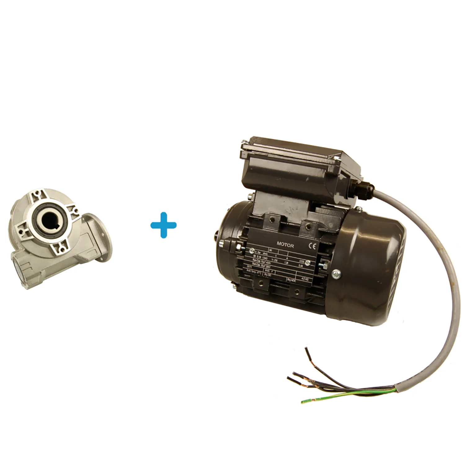 Reducer Worm Gear + Motor Cow Brush Luna